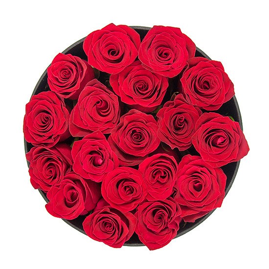 باکس گل رز قرمز شیراز